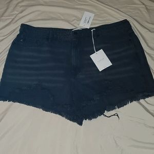 Kancan Black Shorts 3x